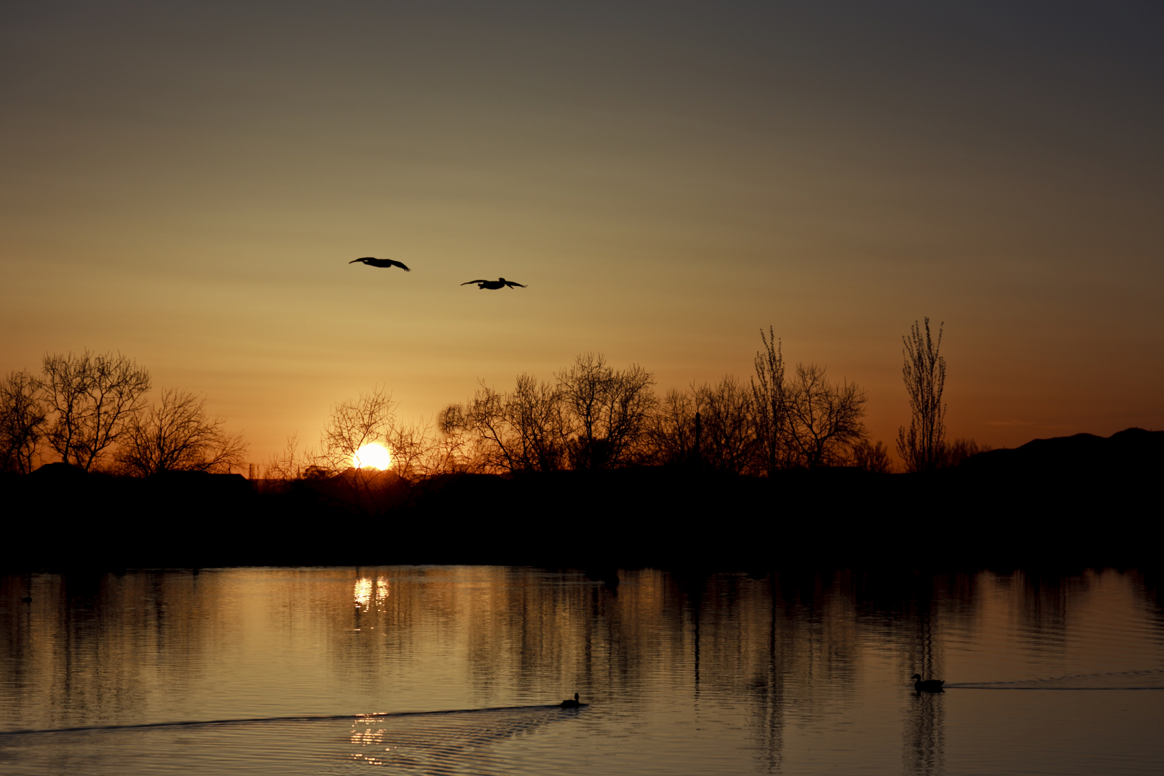 Lake Background Image